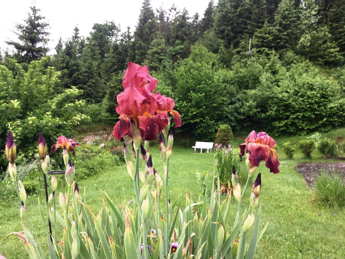 Baeckeralm - B&B 16 + Mittenwald Buitenkant foto